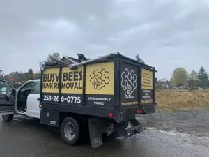 Busy Bees Junk Removal Truck Size