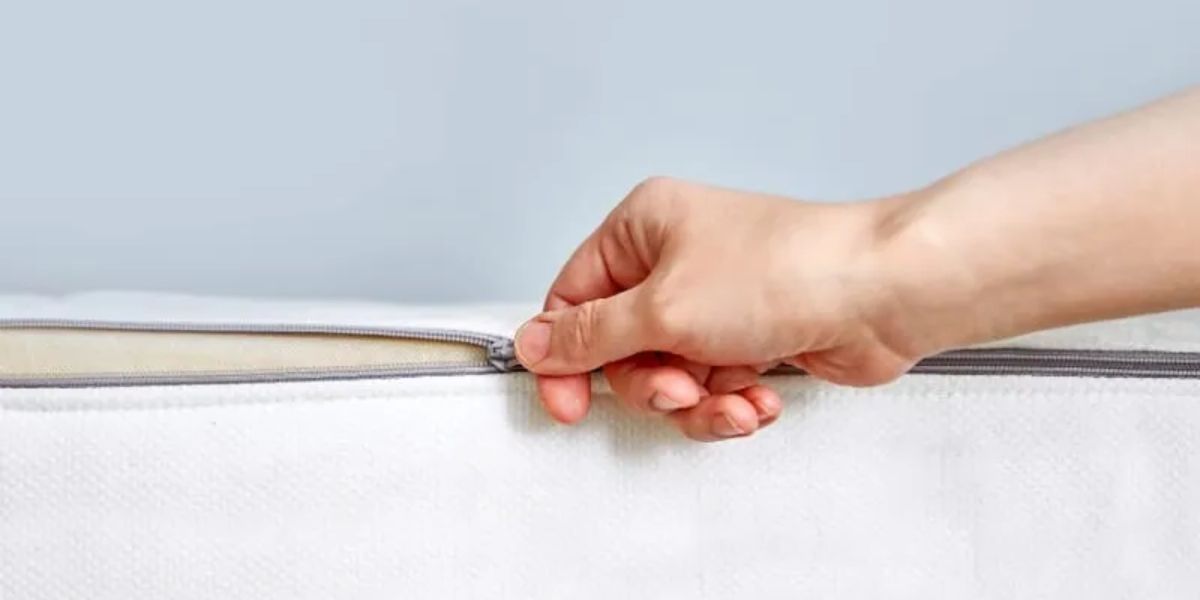 Can You Throw a Bed Bug Mattress in the Trash in Puyallup