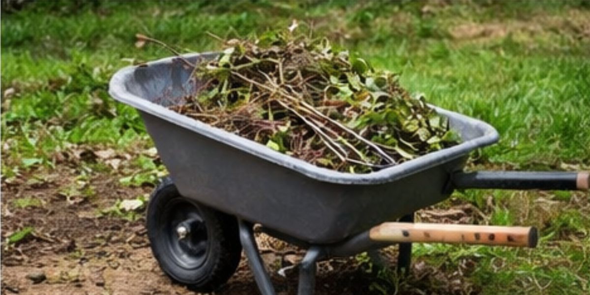 Wheelbarrow or Garden Cart